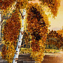 Янтарная картина "Березы у реки" 102х66 см, фотография 3. Интернет-магазин ЛАВКА ПОДАРКОВ